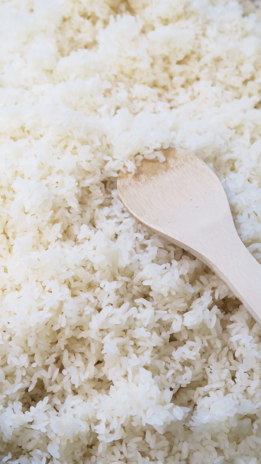 Gedämpfter Reis für die Makgeolli-Herstellung
